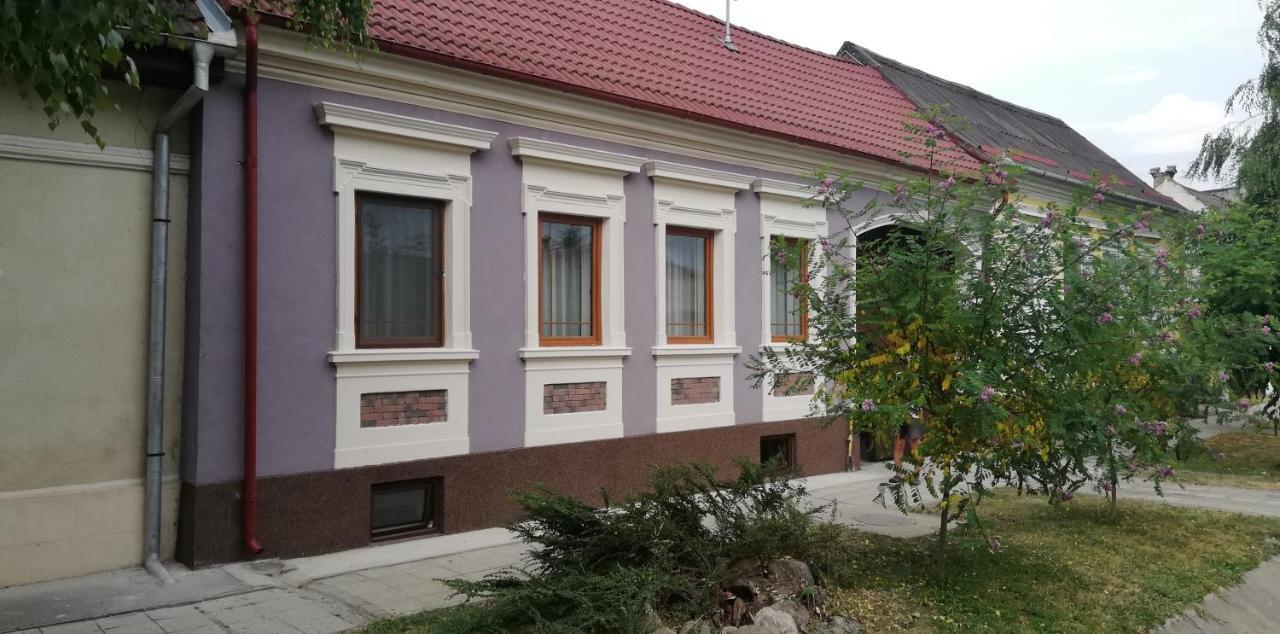 Casa De Vacanta Ayan Harman Bagian luar foto